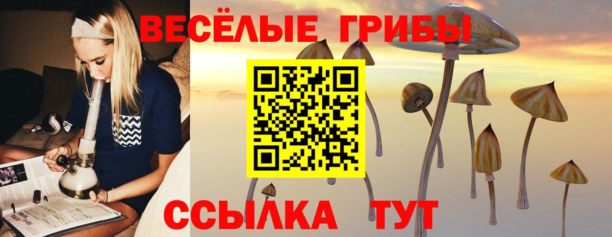 Псилоцибиновые грибы Magic Shrooms Сарапул